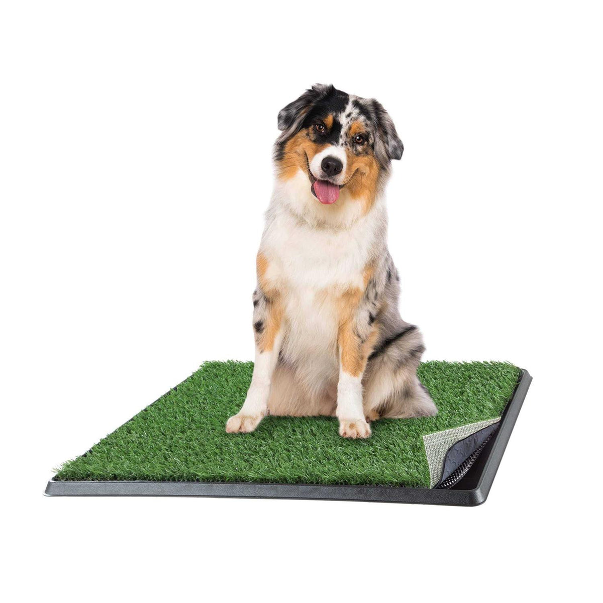 Artificial Grass Dog Potty Pad with Tray Q371855