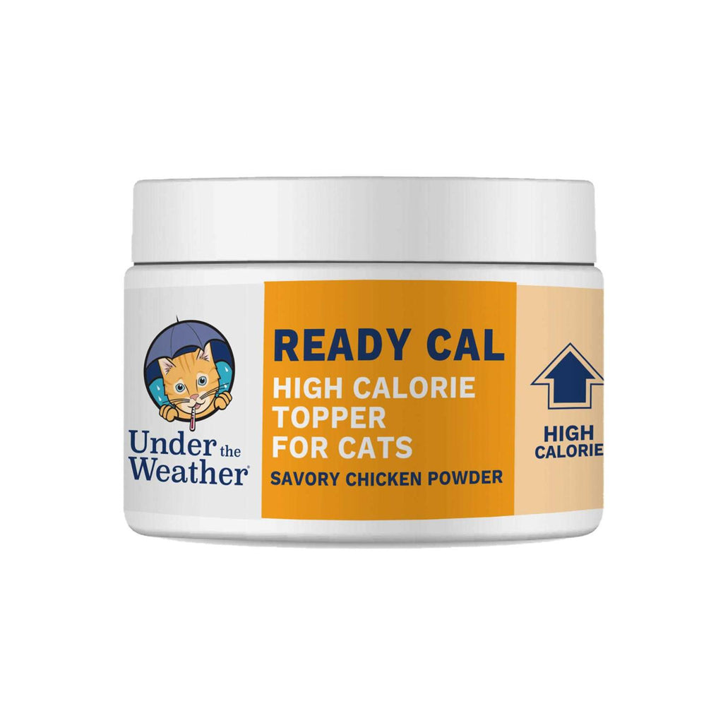 High Calorie Powder for Cats Q764