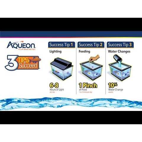 Frameless Cube Aquarium O6388