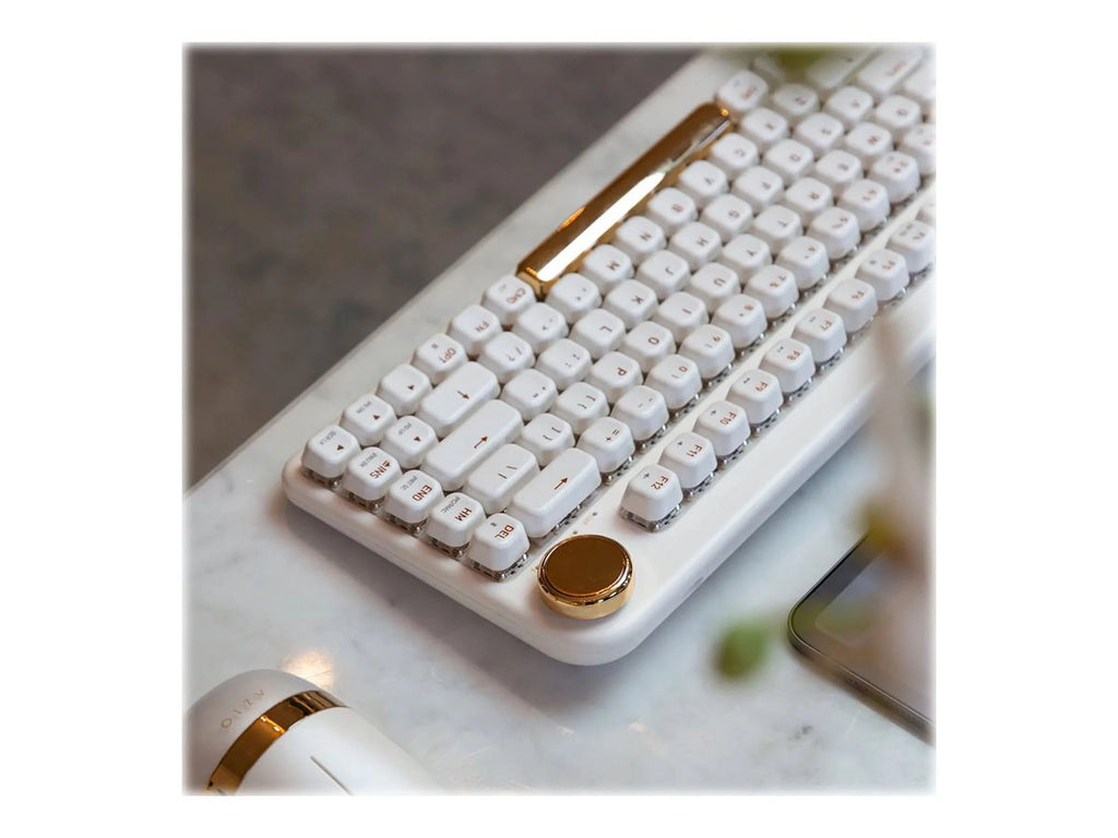 Backlit Wireless Keyboard with Gateron Blue Switch Z9844