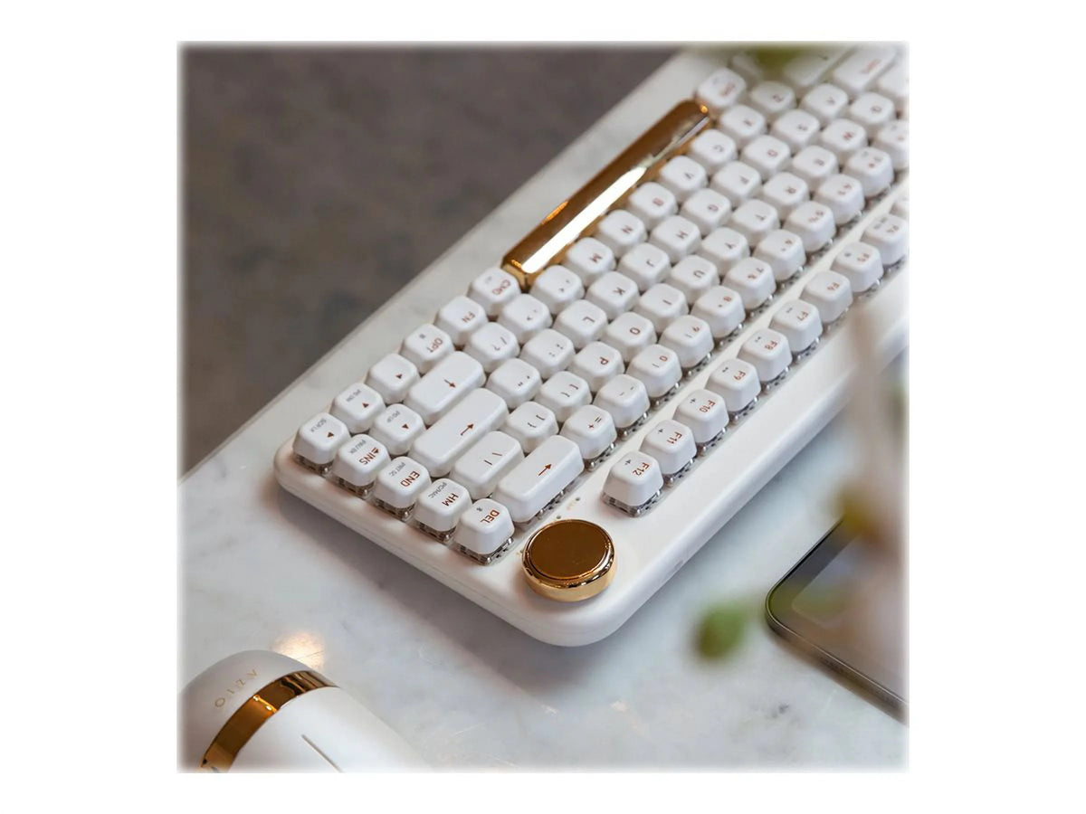 Backlit Wireless Keyboard with Gateron Blue Switch Z9844
