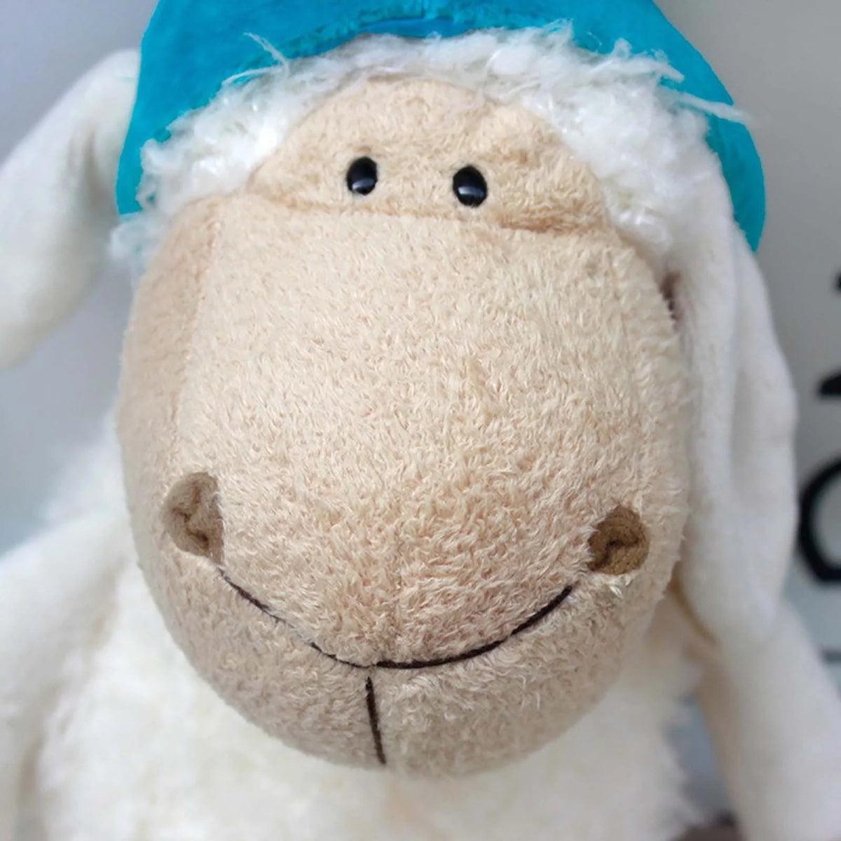 Plush Doll Toy Rag Doll 25cm Y5333