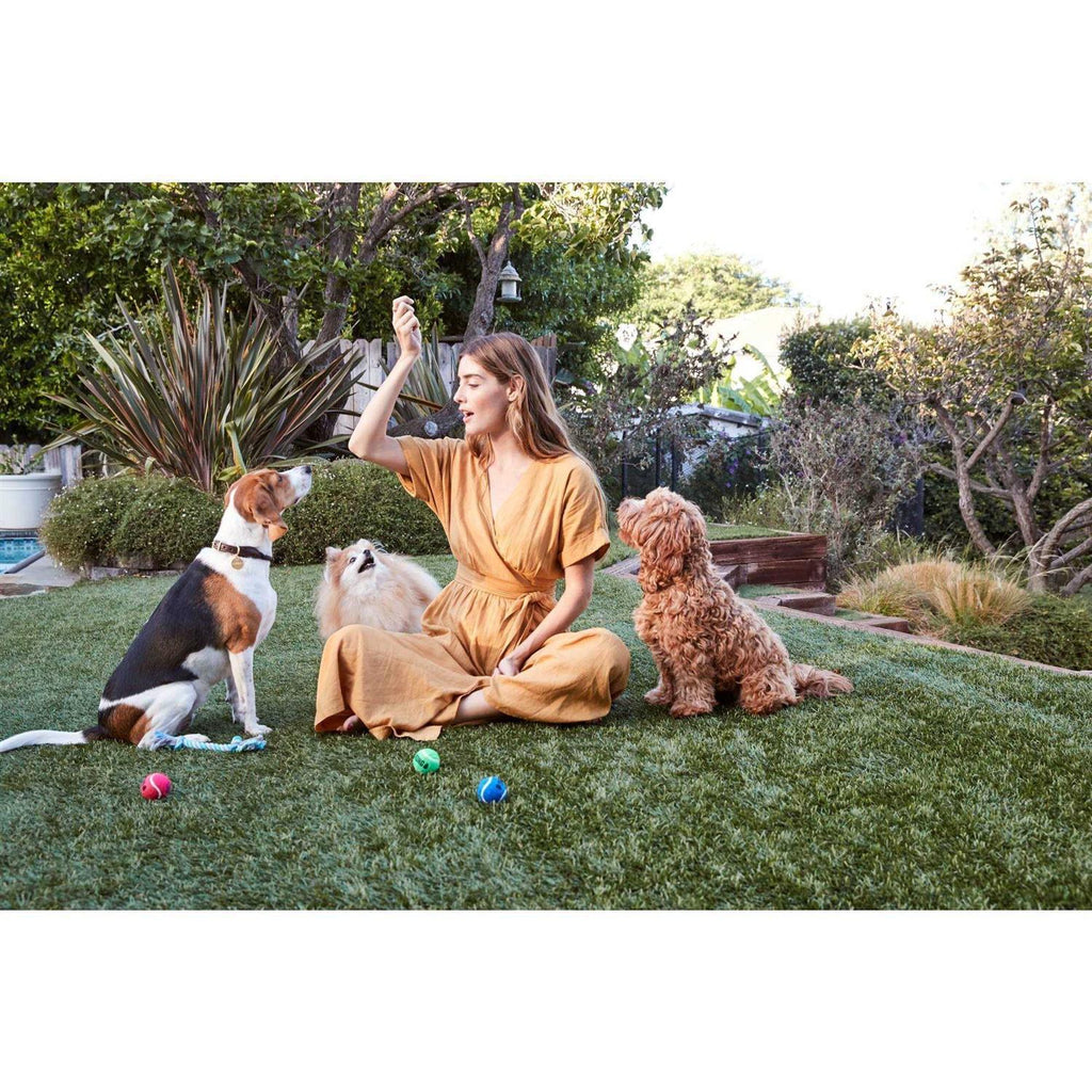 Beef Jerky Dog Treats W522978