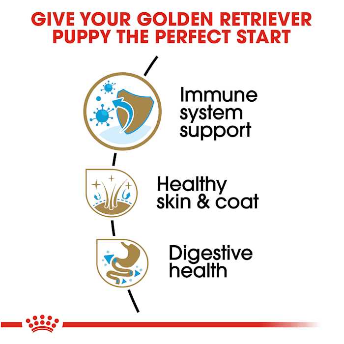 Golden Retriever Puppy Dry Dog Food R217996