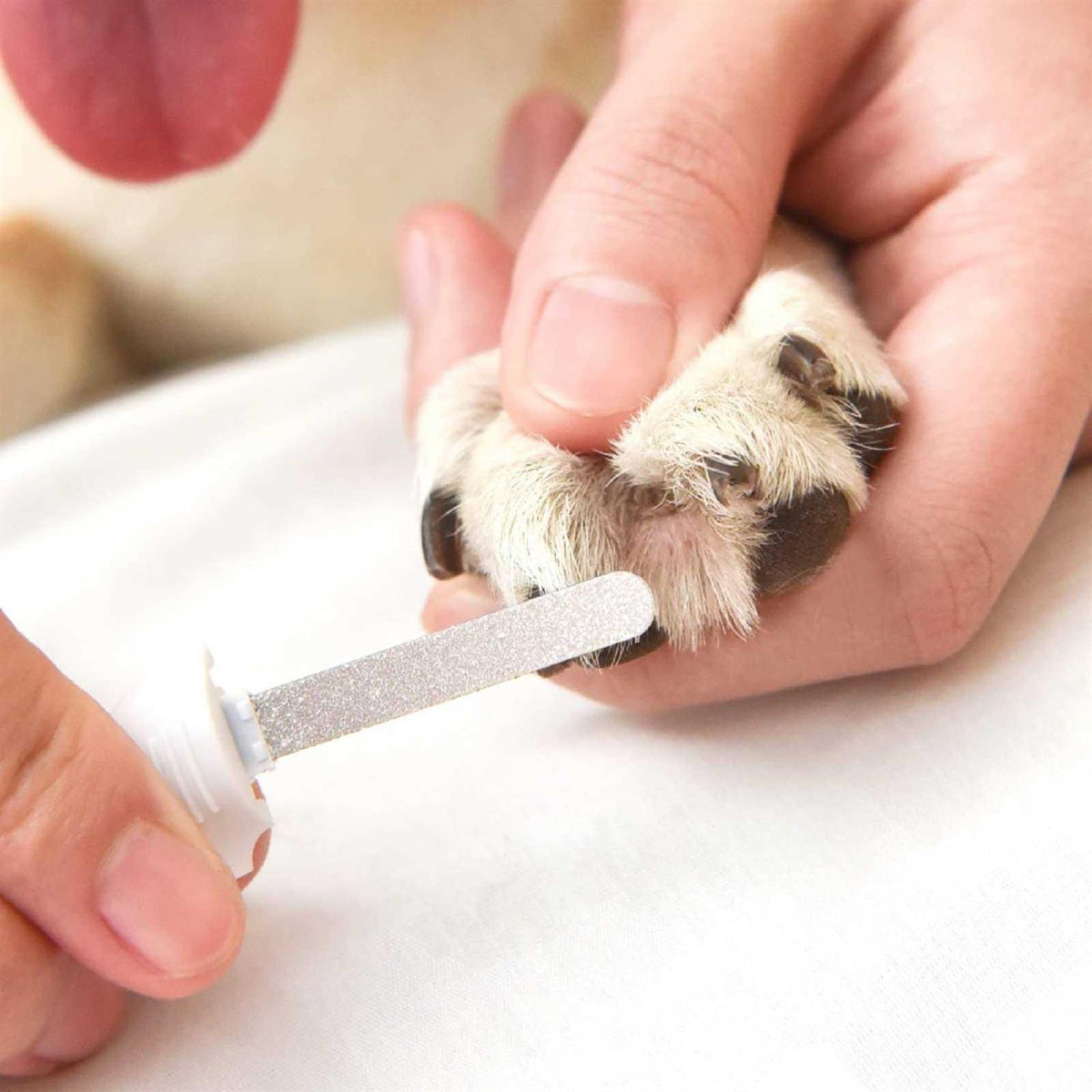 Pet Nail Clipper with LED Light O414