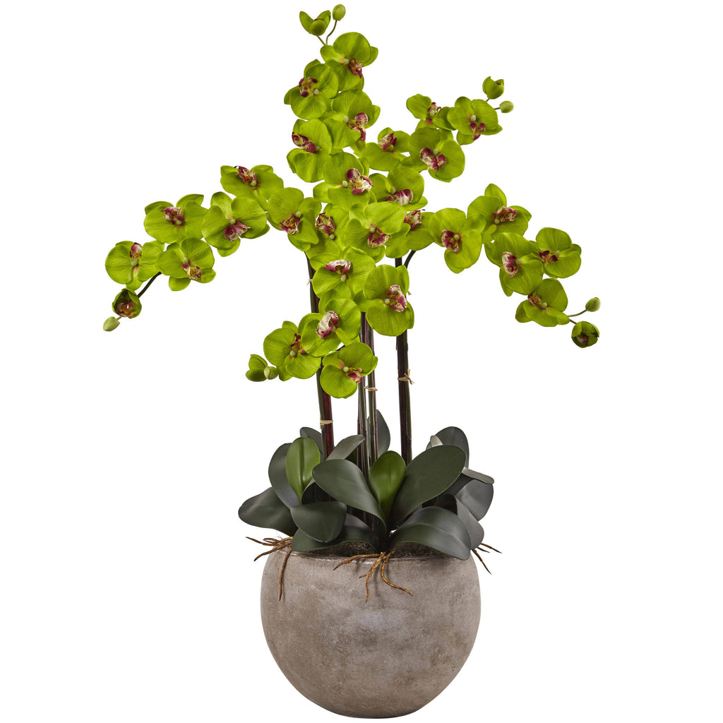 4.5 ft. Golden Cane Palm with Decorative Container C69571