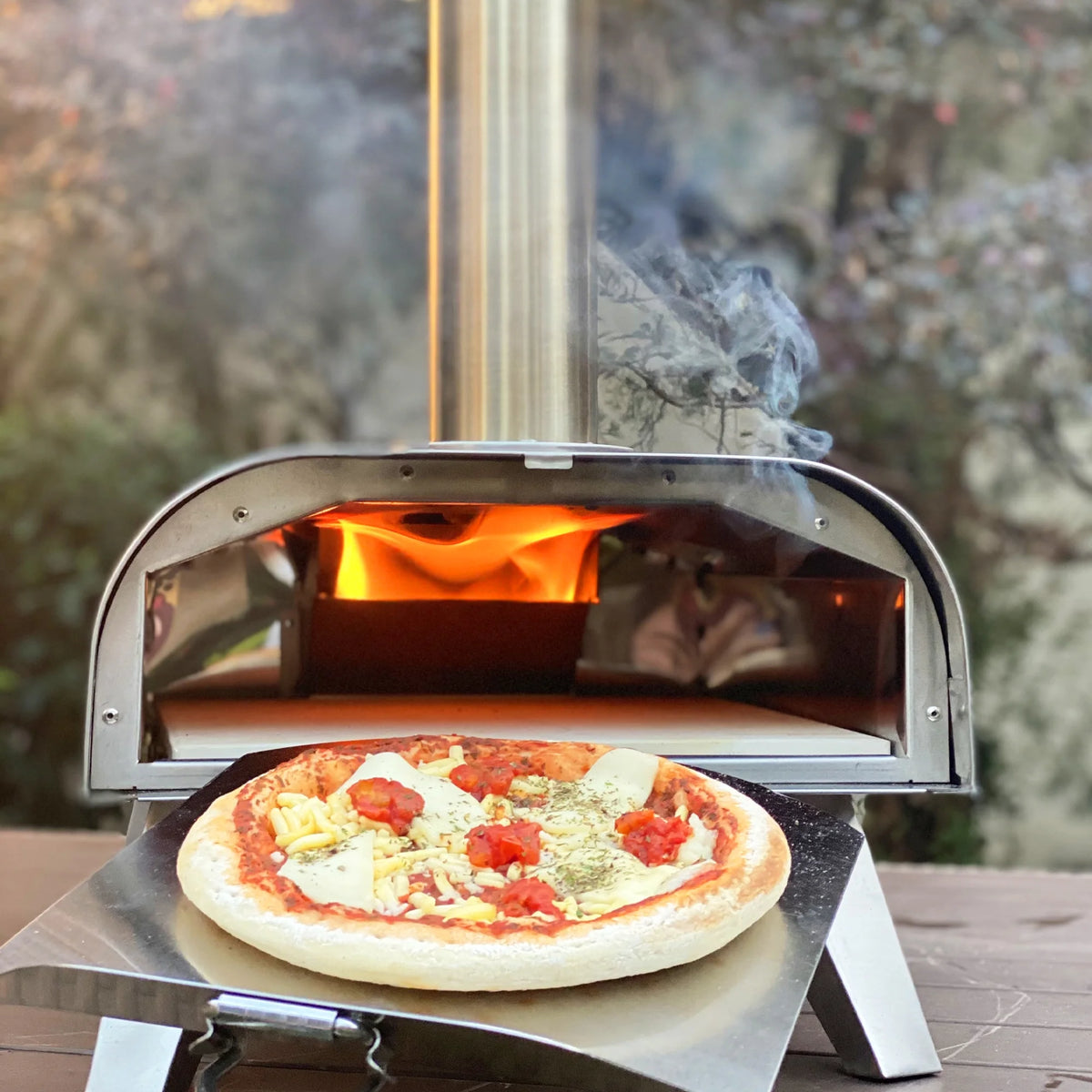 Portable Stainless Steel Wood Pellet Pizza Oven S59340