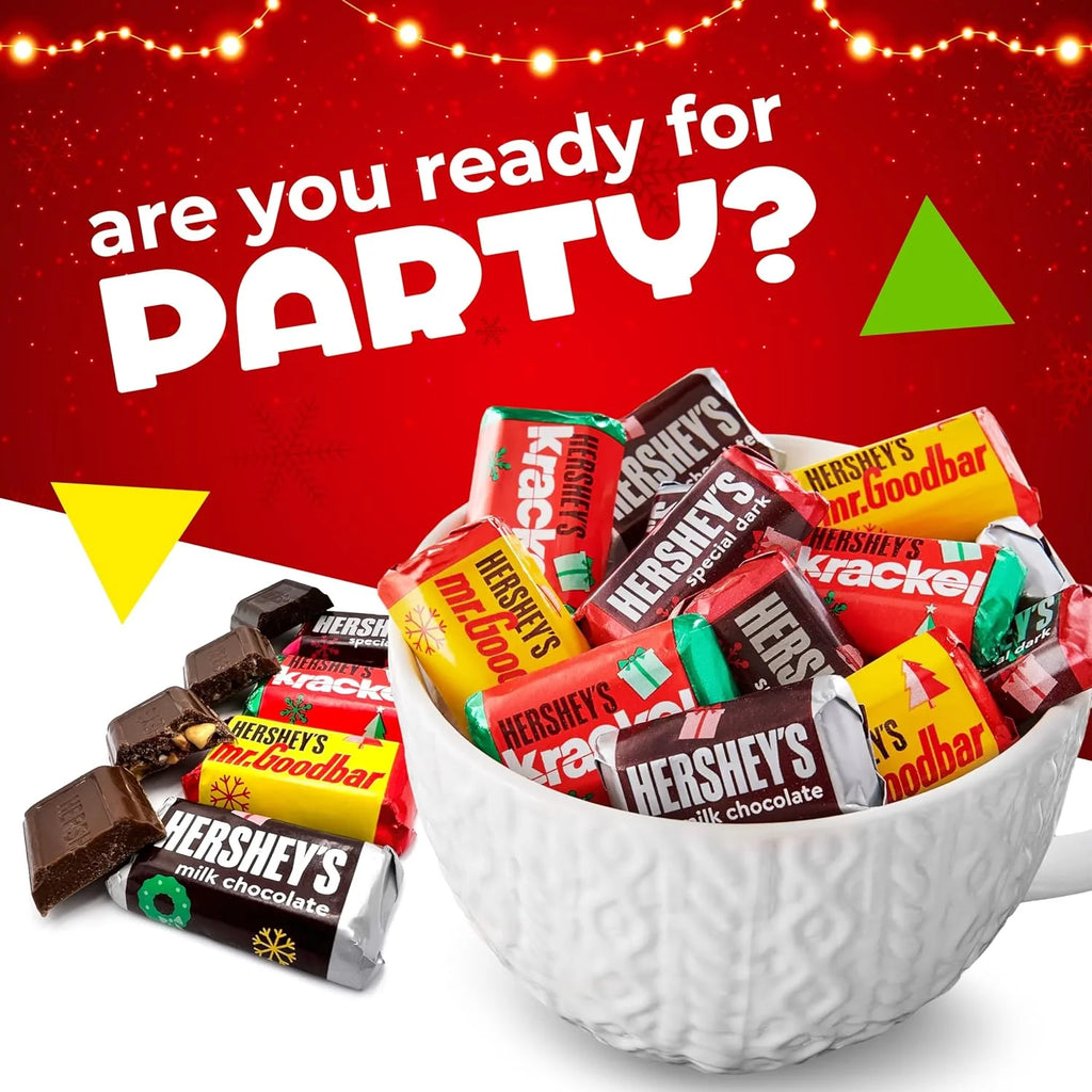 5 Pound Bag Chocolate Candy Bar Assortment Y70013