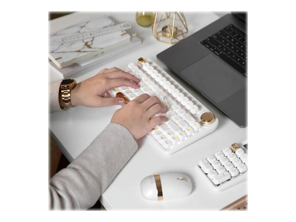 Backlit Wireless Keyboard with Gateron Blue Switch Z9844