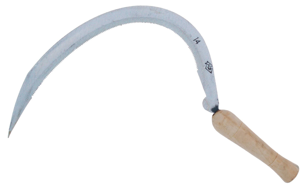 Serrated Curved Blade Box of 12 S253047