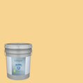 Interior Paint (5-Gallon) D2738