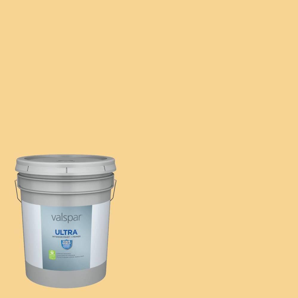 Interior Paint (5-Gallon) D2738