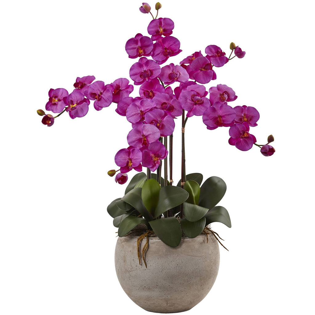 4.5 ft. Golden Cane Palm with Decorative Container C69571