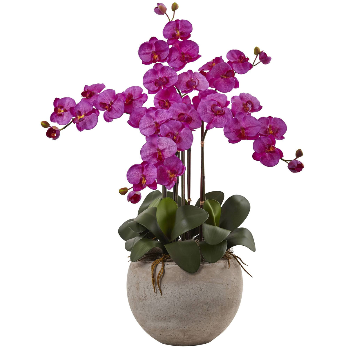 4.5 ft. Golden Cane Palm with Decorative Container C69571