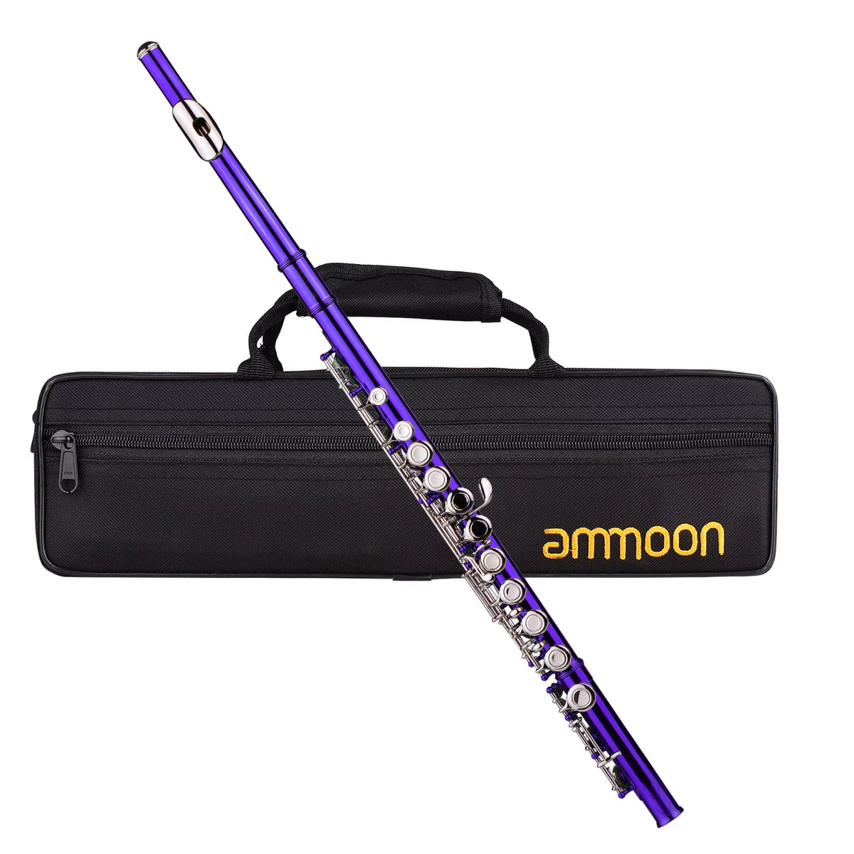 16 Keys Cupronickel Nickel-plated Closed Hole C Flute with Carry Case H782167