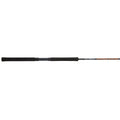 Spinning Fishing Rod N498190