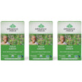 Organic Green Tea 18 Infusion Bags 3 Pack Z245