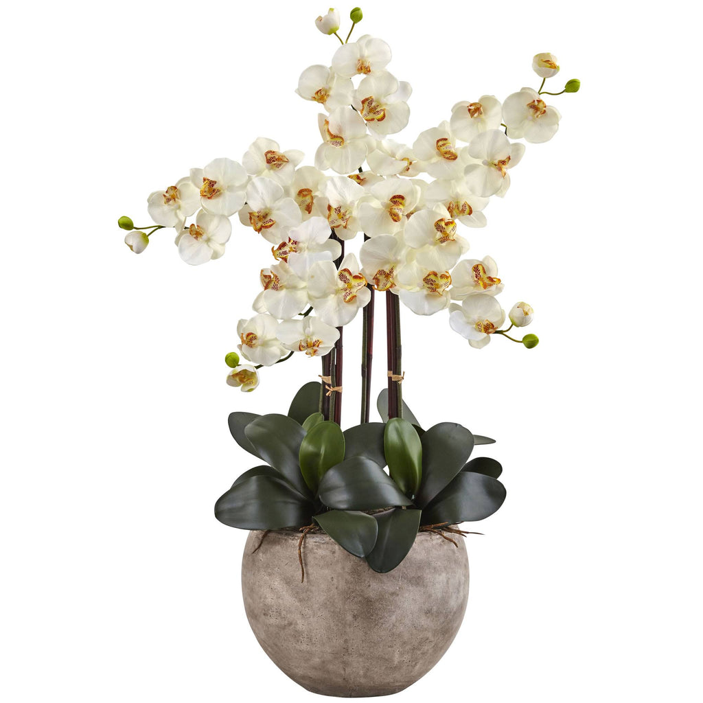 4.5 ft. Golden Cane Palm with Decorative Container C69571