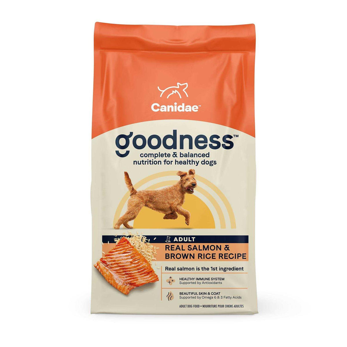 Salmon & Brown Rice Dry Dog Food Z510