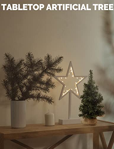 2 Pack Mini Artificial Pine Christmas Tree Table Top Decorations O1065