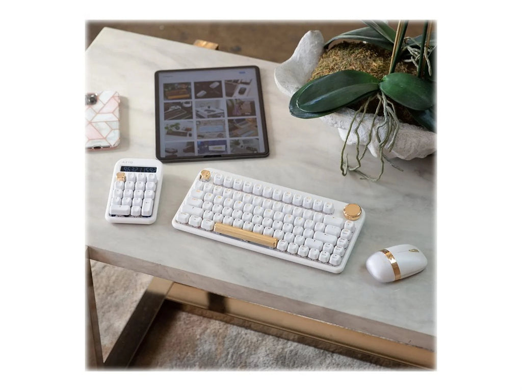 Backlit Wireless Keyboard with Gateron Blue Switch Z9844