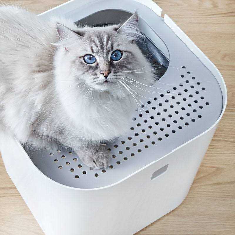 Litter Box X1634