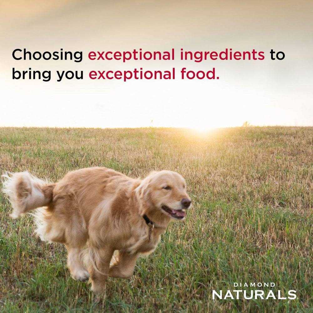 Dry Dog Food U3094