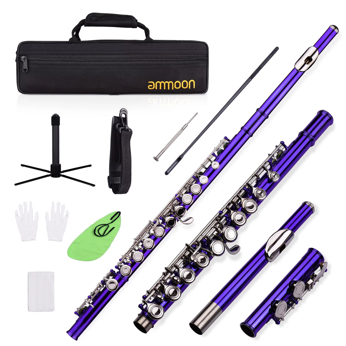 16 Keys Cupronickel Nickel-plated Closed Hole C Flute with Carry Case H782167