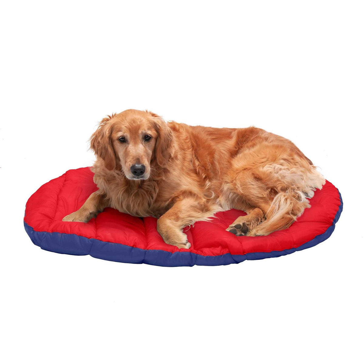 Packable Travel Dog Bed S282