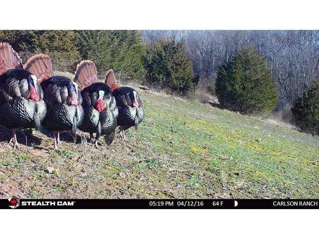 12 Mp Game Camera N555377