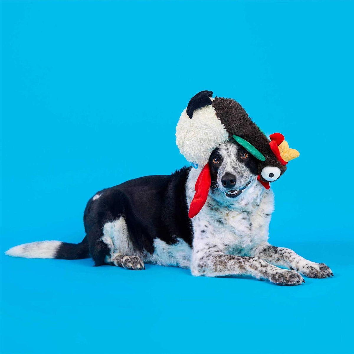 Dog Toy X5394