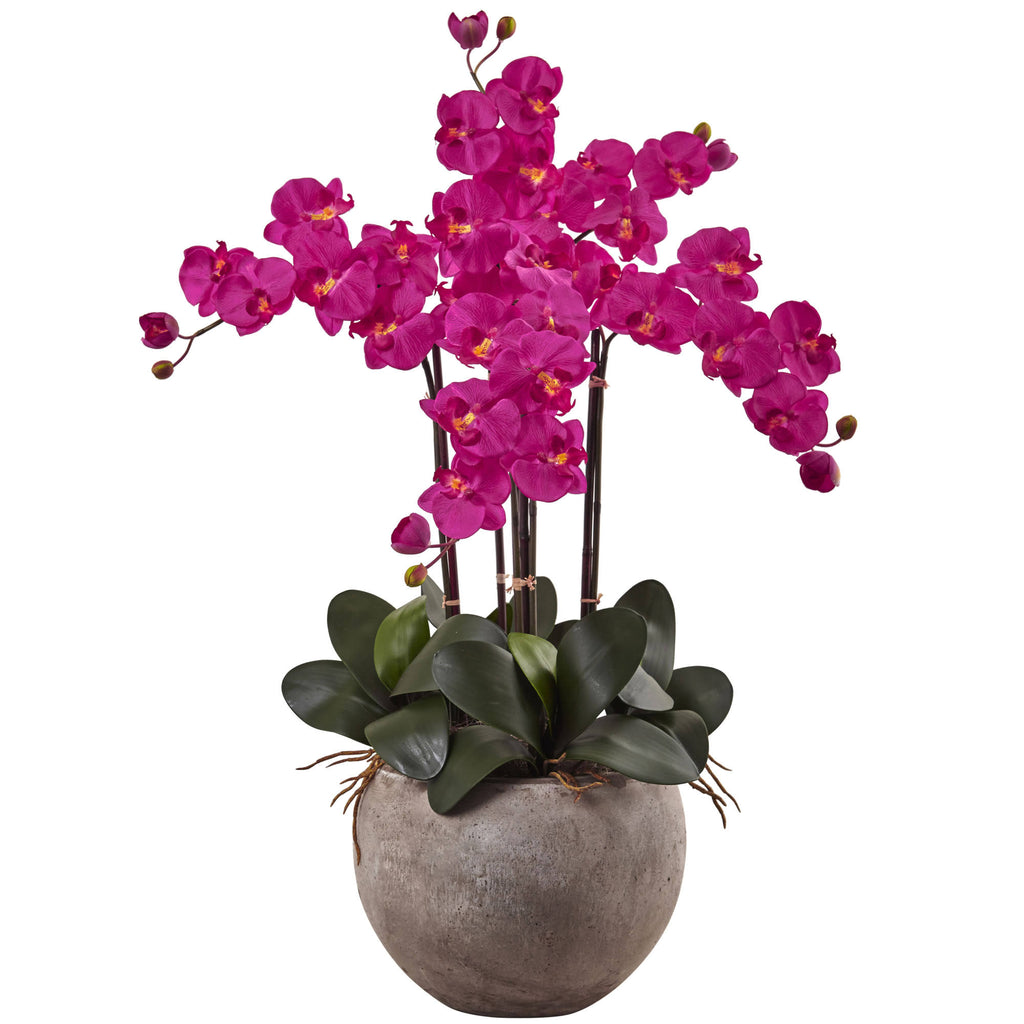 4.5 ft. Golden Cane Palm with Decorative Container C69571