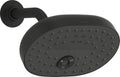 Vibrant Brushed Nickel Showerheads I961