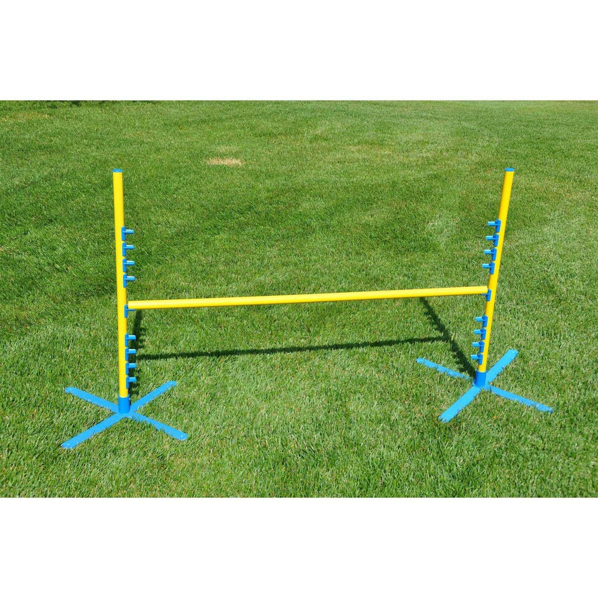 Dog Training Pedestal Jump I750