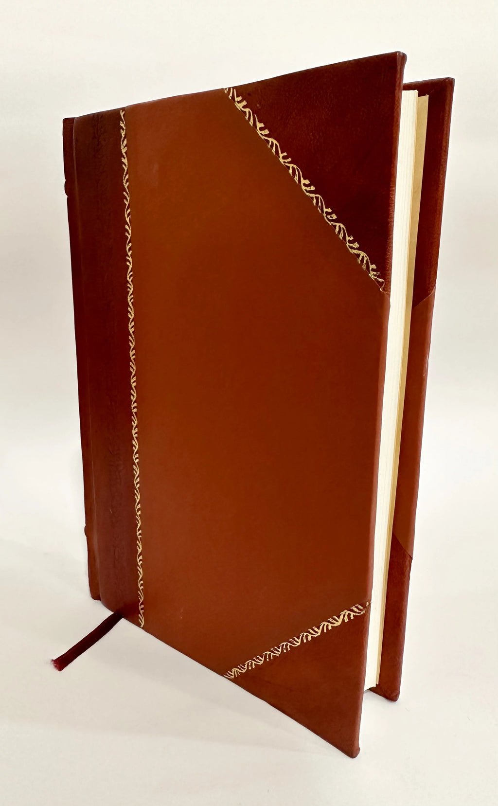 Les Beaux Messieurs De Bois-Dore Volume 1 Leather Bound X2749