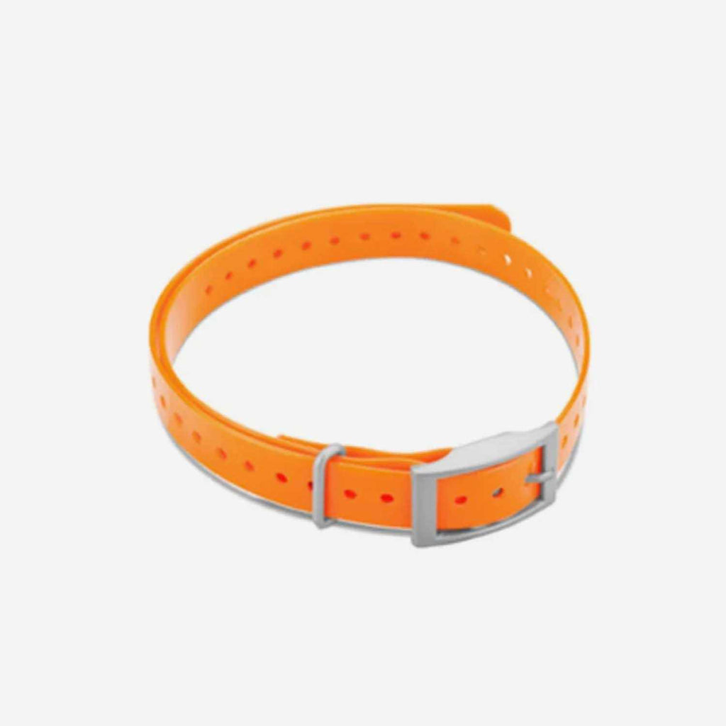 Collar Strap O32274