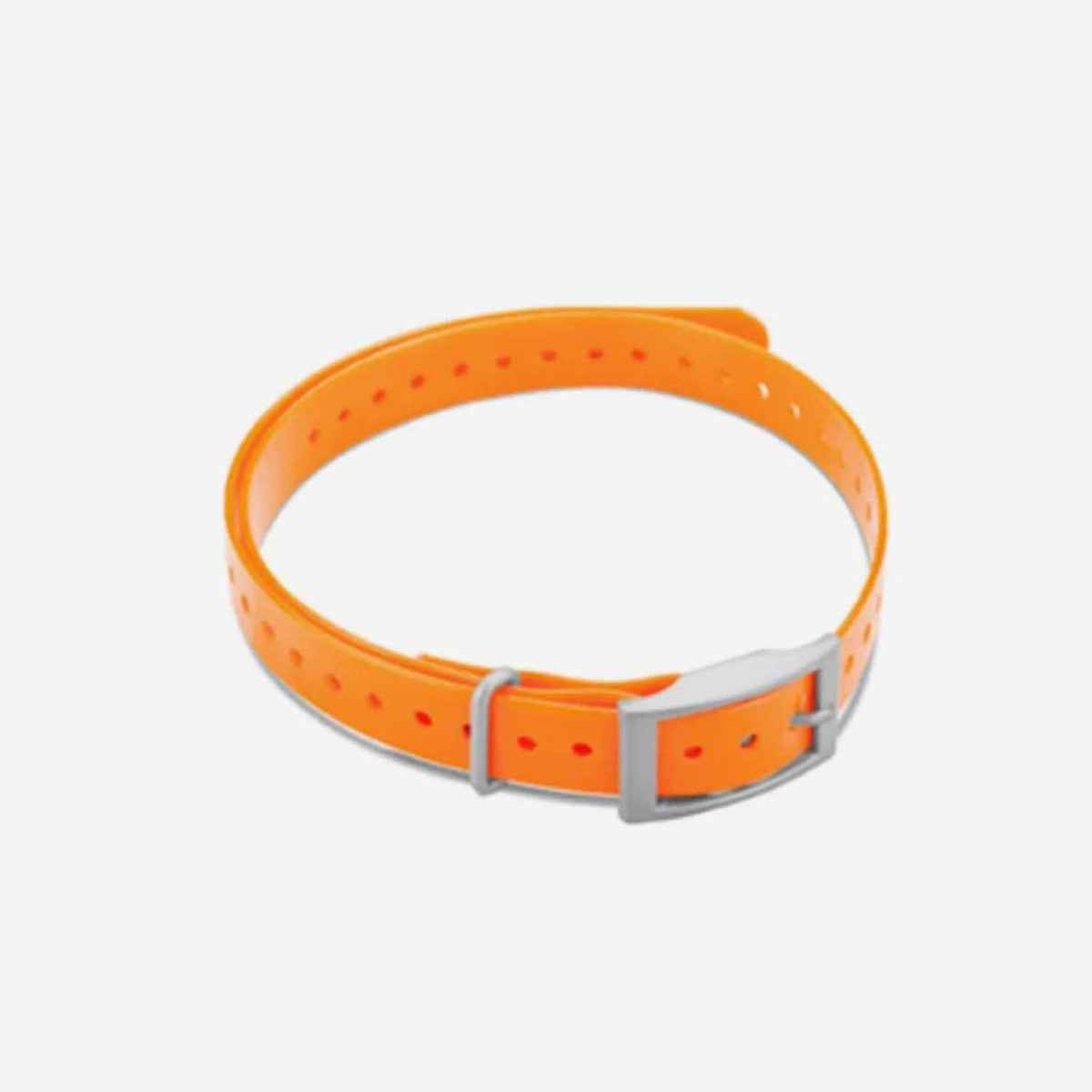 Collar Strap O32274