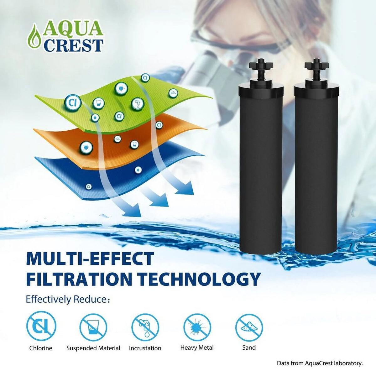 Water Filter Replacement Pack of 2 R401494
